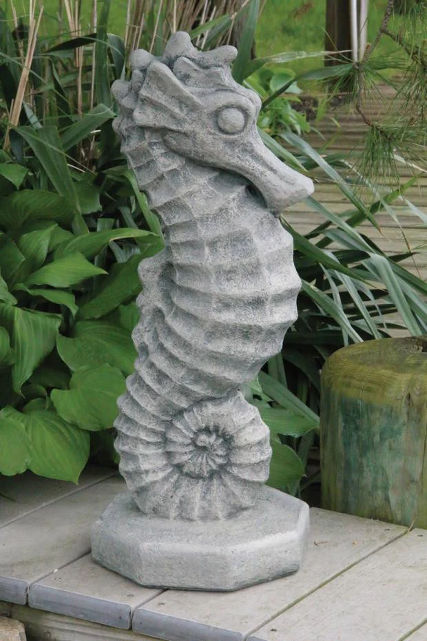 Seahorse 24 inch