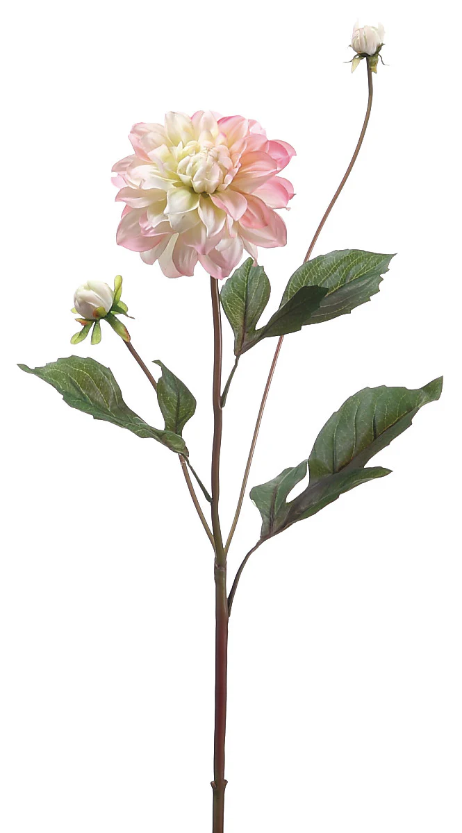 Faux Garden Dahlia Spray Pink Cream - 26 inch