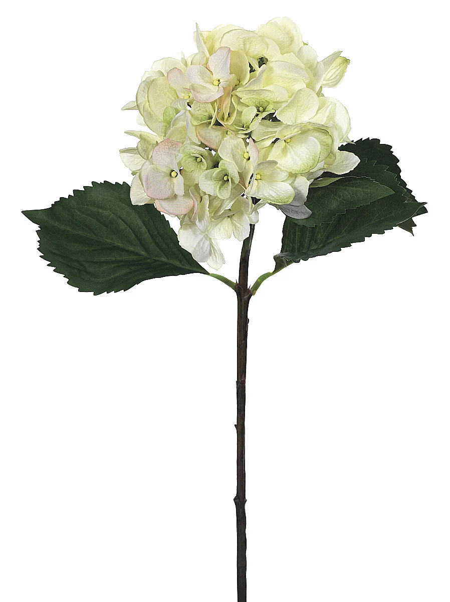 Faux Hydrangea Spray Cream/Green - 27 inch