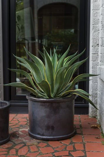 Acadia Pot 15.5"x12.25" - Image 2