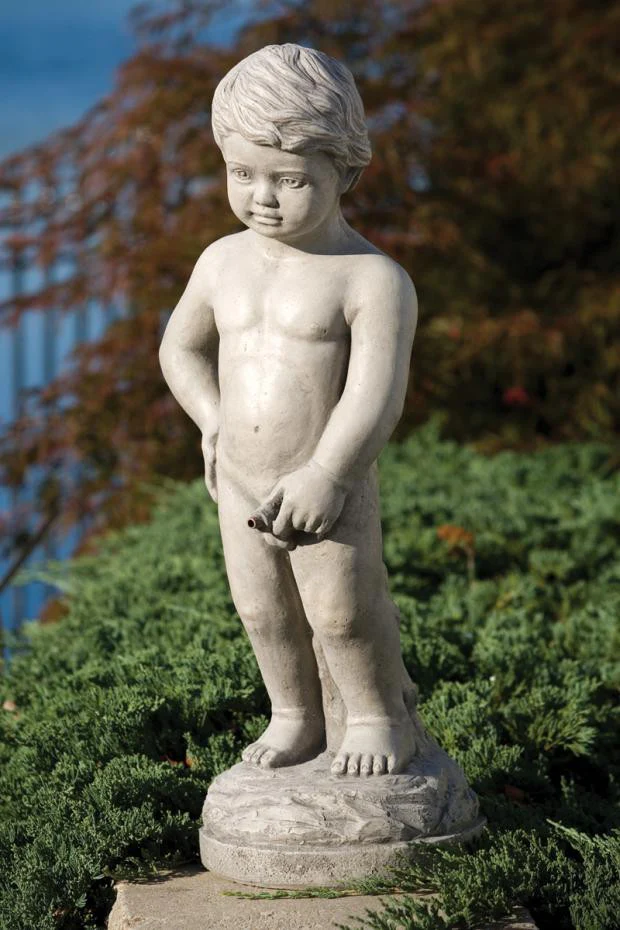 Belgium Boy Plumbed