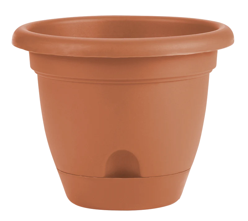 Bloem Lucca Planter Terra Cotta Plastic - 12 inch