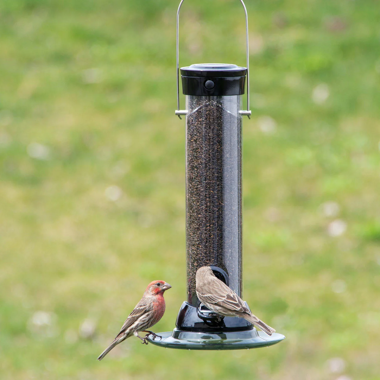 Droll Yankees® Onyx Clever Clean® Thistle Finch Feeder with Easy Opening - 12 inch - Image 3