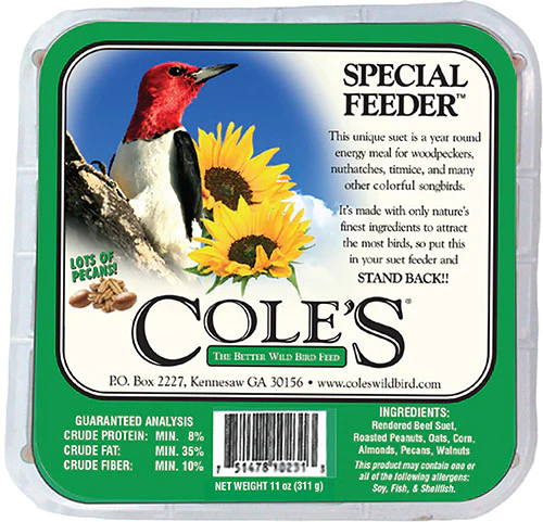 Coles Special Feeder Suet - 11 oz