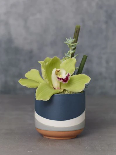 Colorway Dark-Blue Pot 4"x 3.5" - Image 2