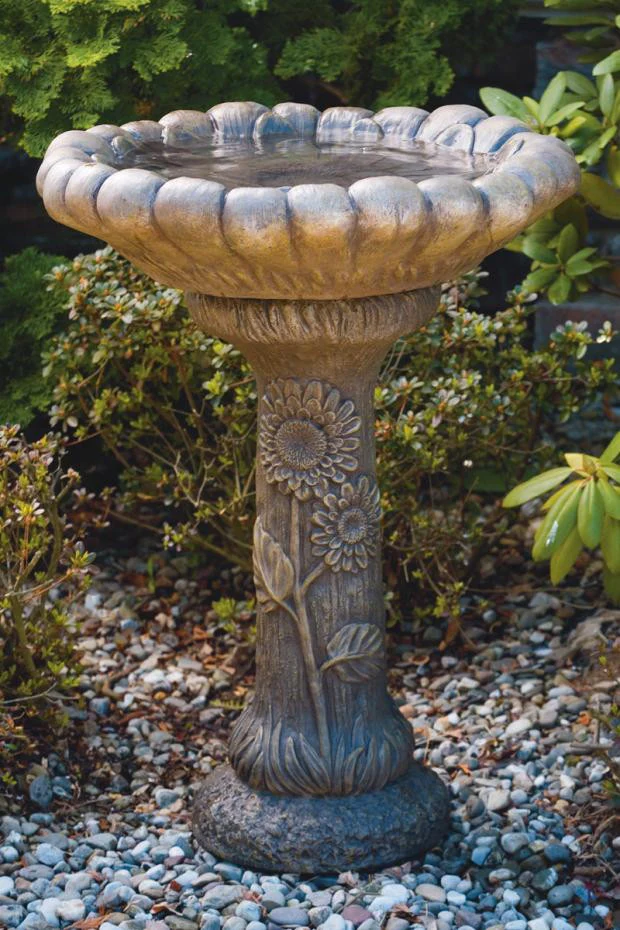 Dahlia Birdbath