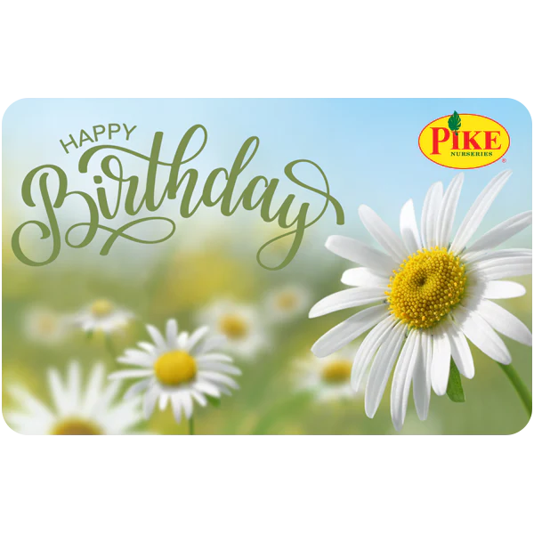 Digital Happy Birthday eGift Card