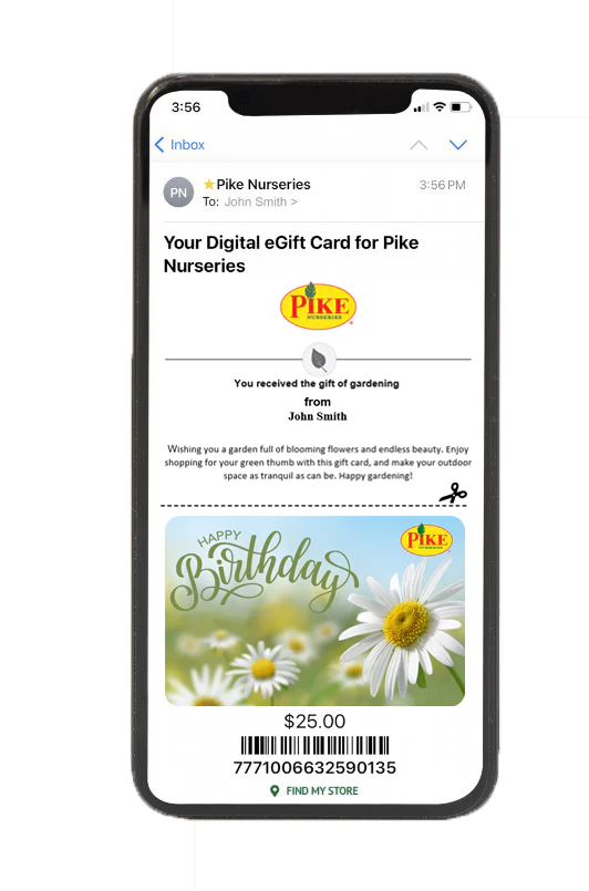 Digital Happy Birthday eGift Card - Image 2