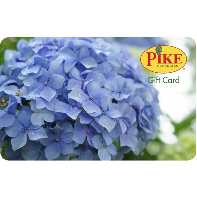 Digital Hydrangea eGift Card