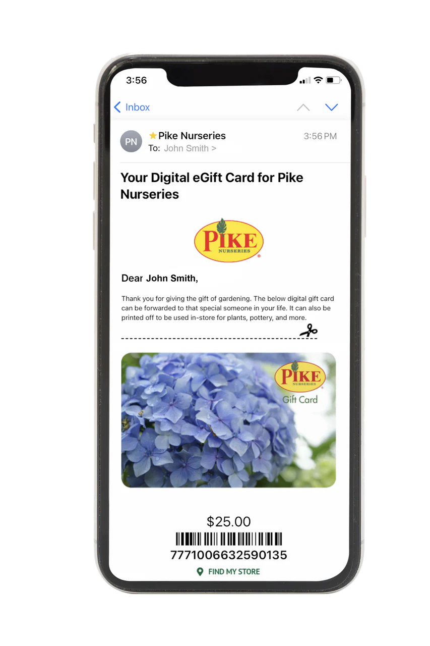 Digital Hydrangea eGift Card - Image 2