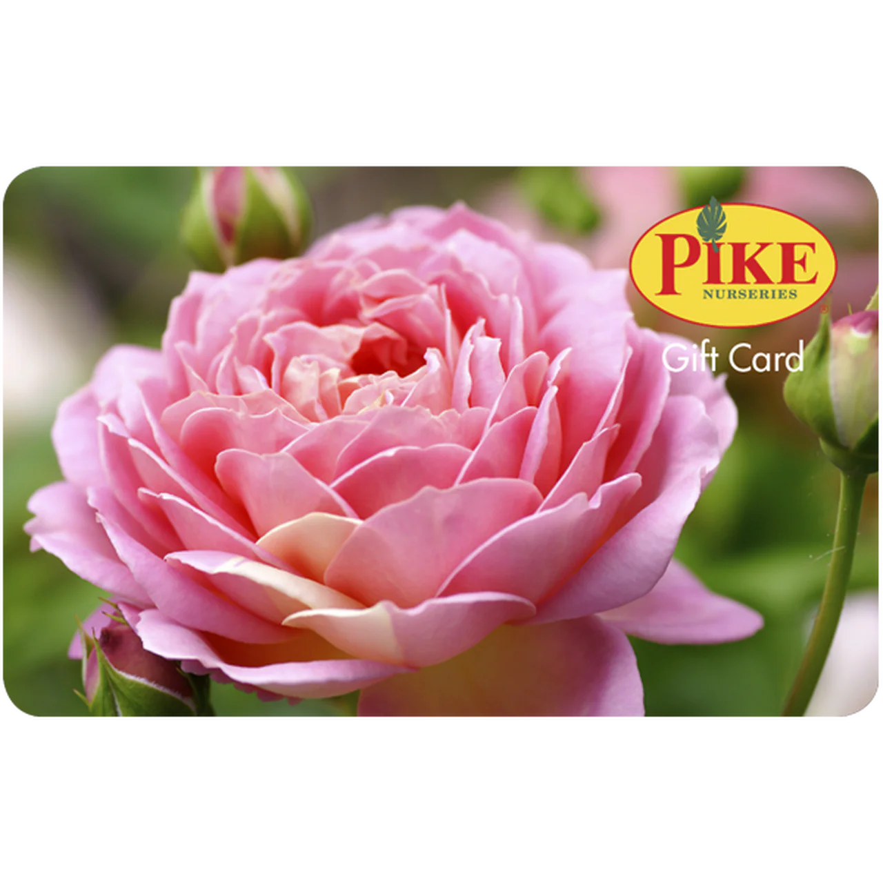 Digital Rose eGift Card