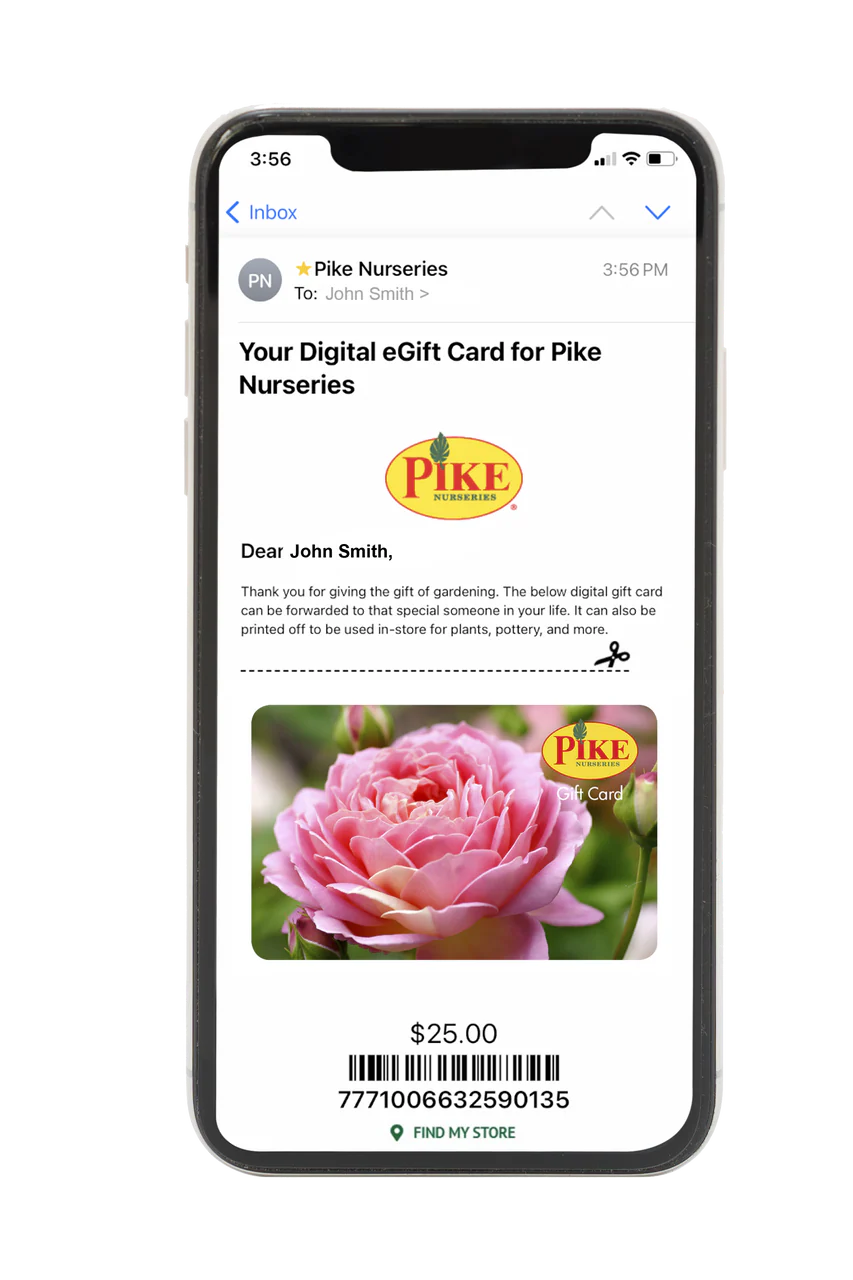 Digital Rose eGift Card - Image 2