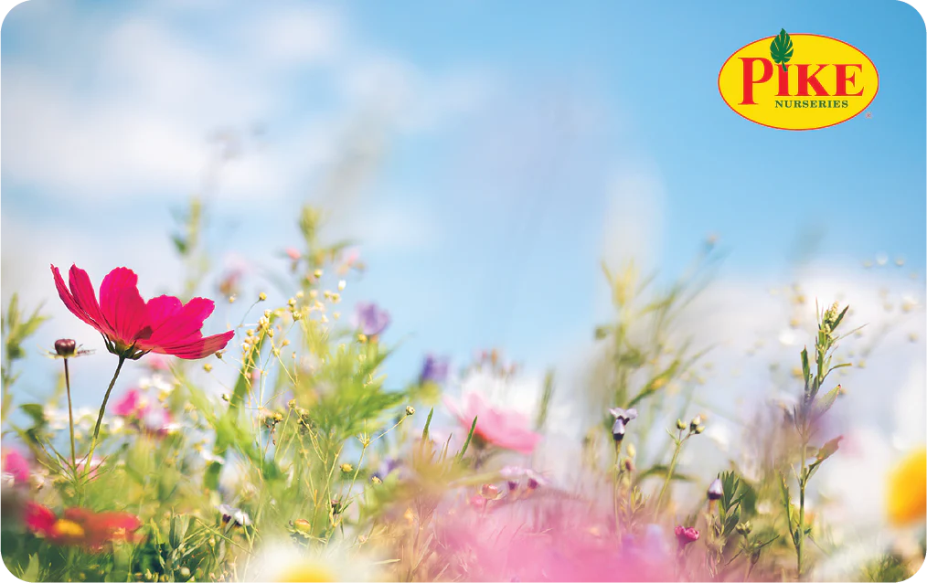 Digital Springtime Breeze eGift Card