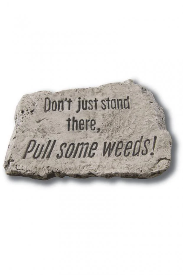 Stone Don't Just Stand 10 inch