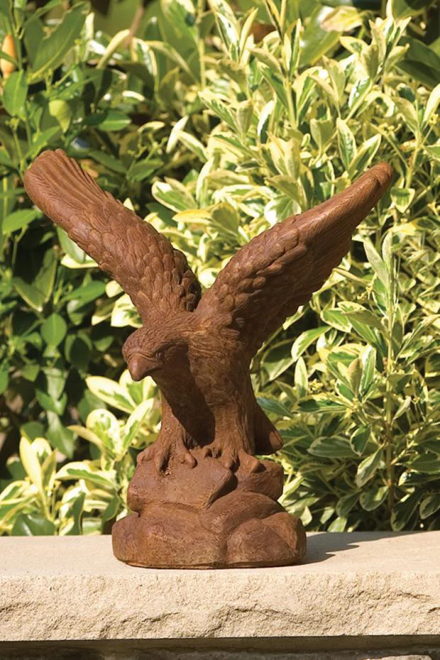 Eagle In Flight