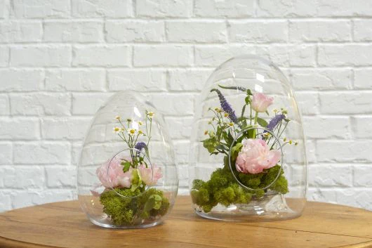 Eggy Terrarium 11"x 14.5" - Image 3