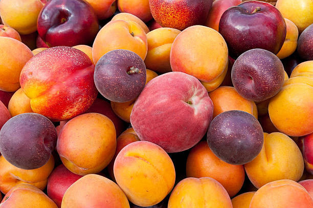 Fruit Coctail ( 3 Peaches and 1 Plum)