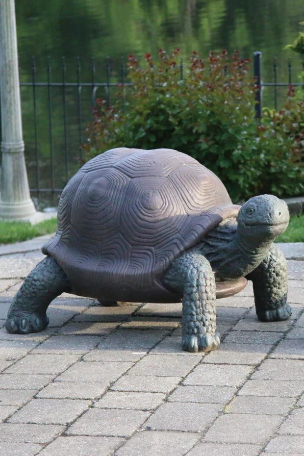 Giant Tortoise
