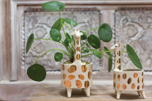 Giraffe Planter 5"x 8.5" - Image 3