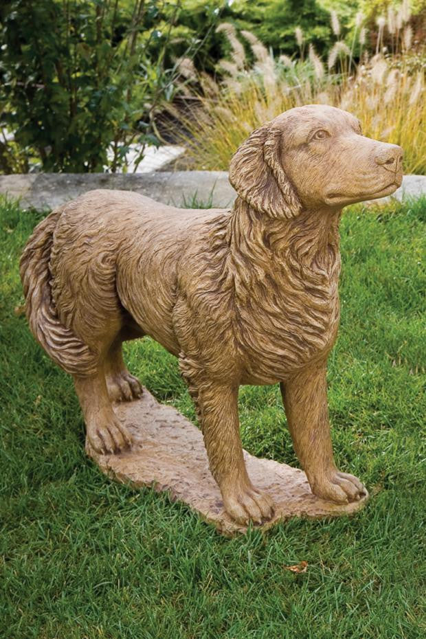 Golden Retriever 29 inch