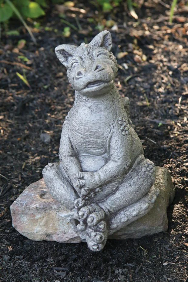 Lil Dragon Take A Seat