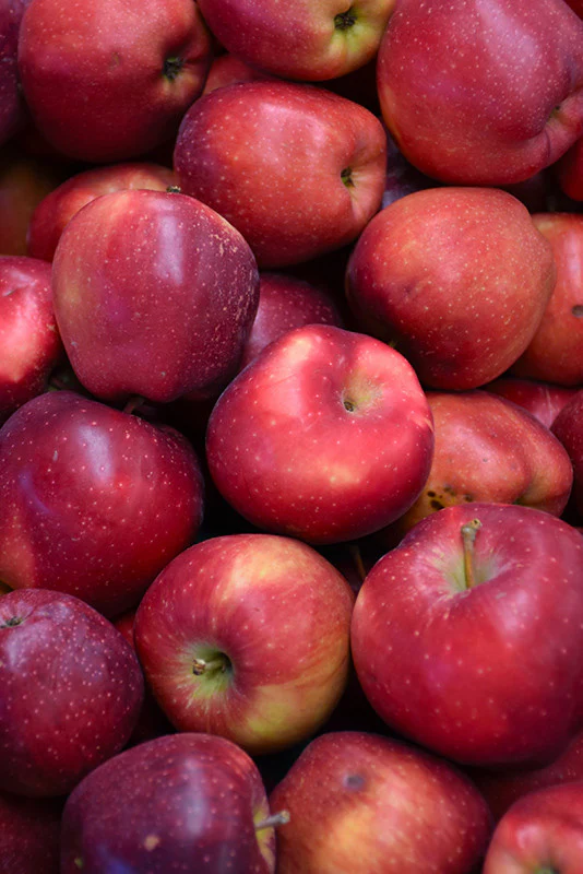 Red Delicious Apple - Image 3