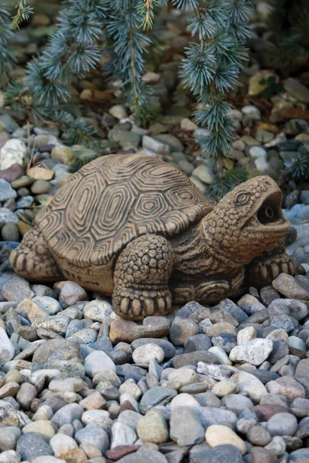 Turtle Plumbed Medium