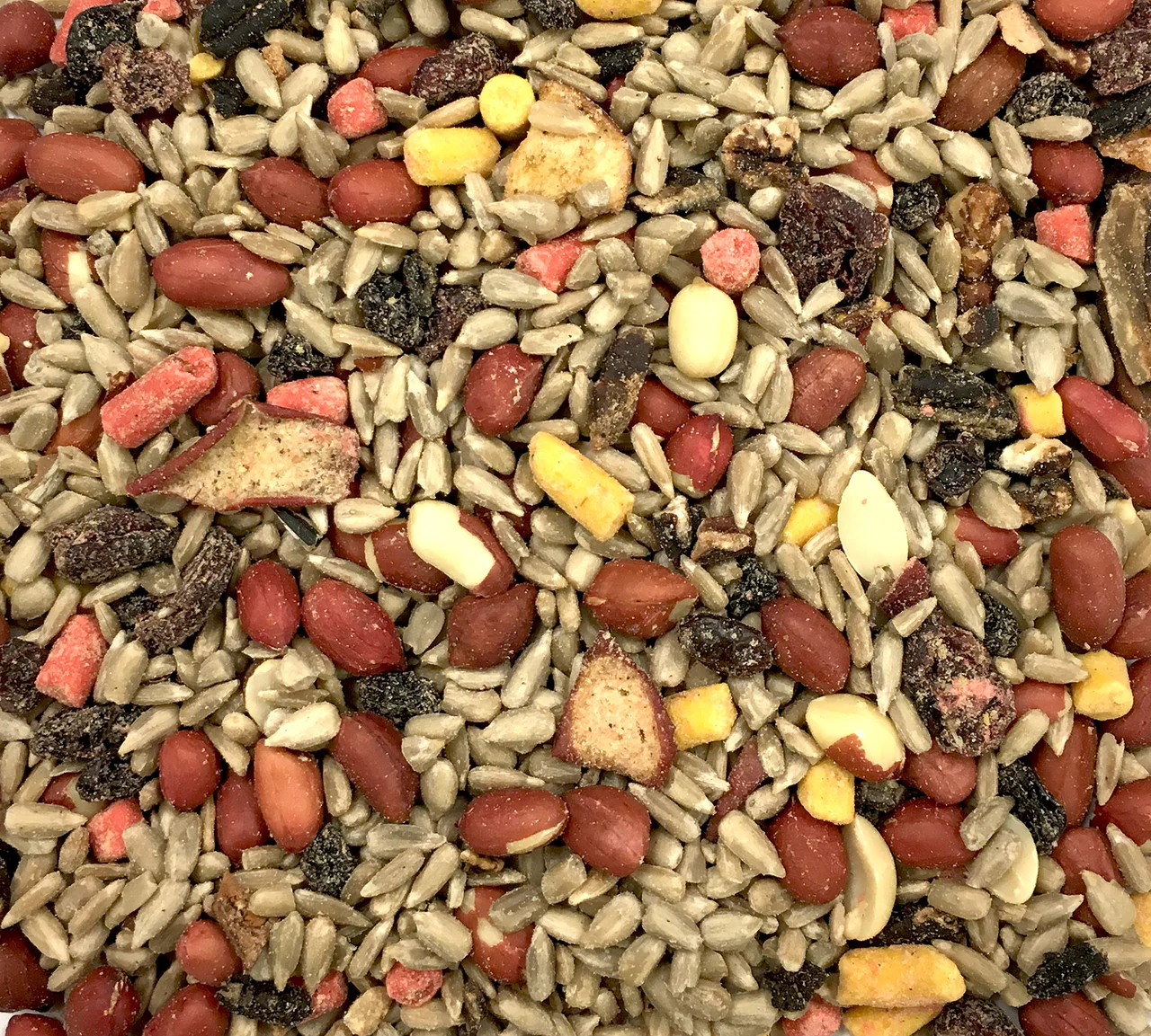 Coles Nutberry Suet Blend - 5 lbs - Image 2