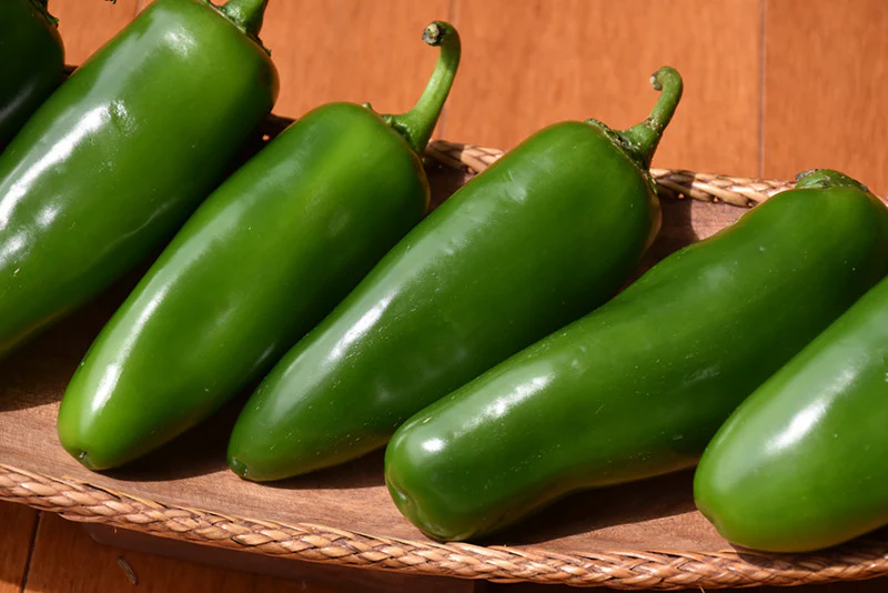 Jalafuego Hot Pepper