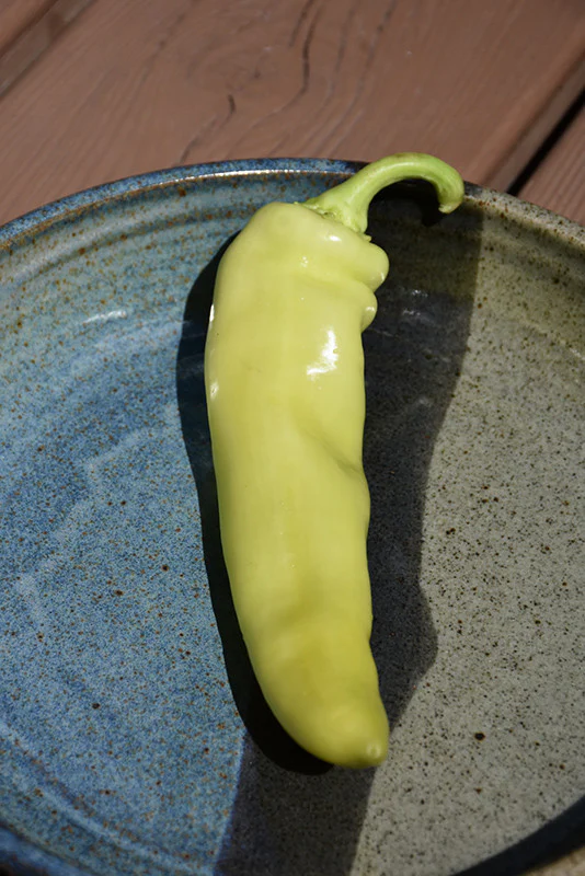 Hungarian Yellow Wax Sweet Pepper