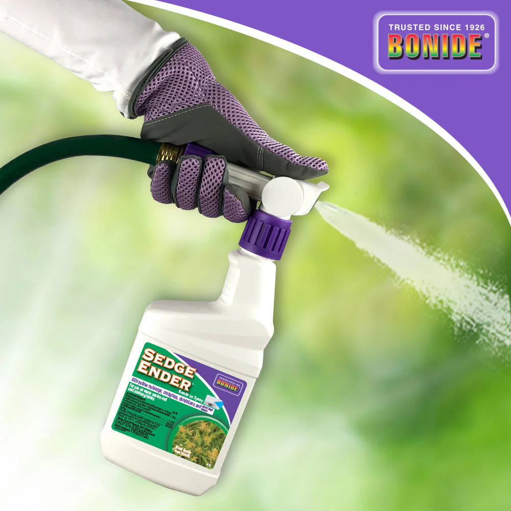 Sedge Ender? Ready-To-Spray - Image 3