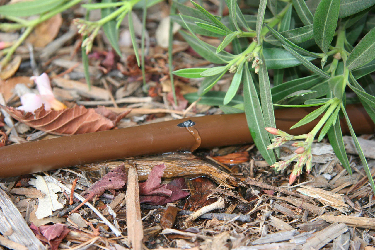 Drip Irrigation 1/4in Emitter Tubing with 6in Spacing - Image 4
