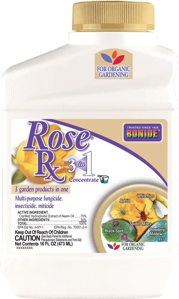 Rose Rx® 3-in-1 Concentrate - 16 oz