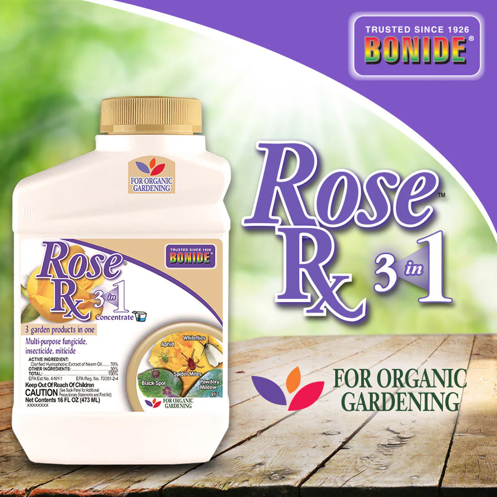 Rose Rx® 3-in-1 Concentrate - 16 oz - Image 2