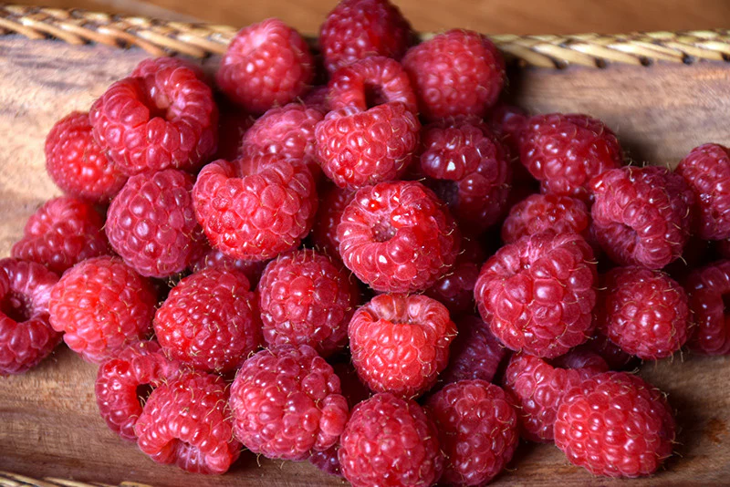 Heritage Raspberry - Image 3