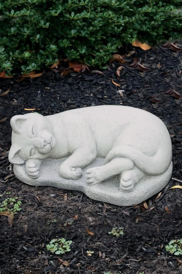 Plain Sleeping Cat