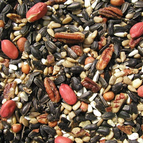 Coles Special Feeder Seed - 10 lbs - Image 2