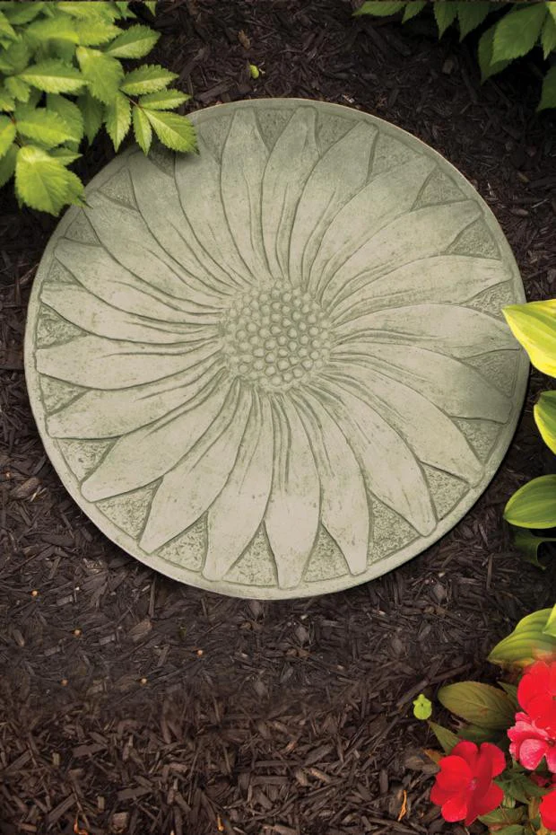 Stepping Stone Sunflower
