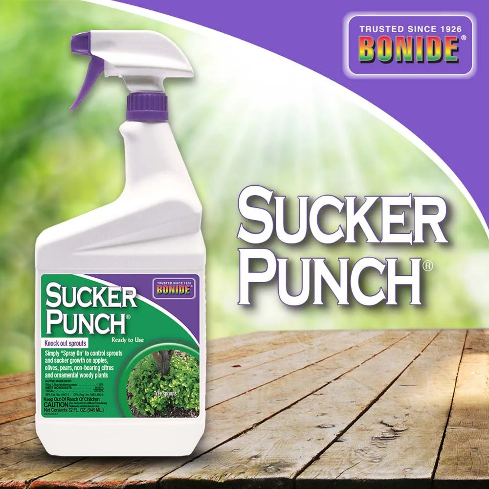 Sucker Punch® Ready-To-Use - 32 oz - Image 2