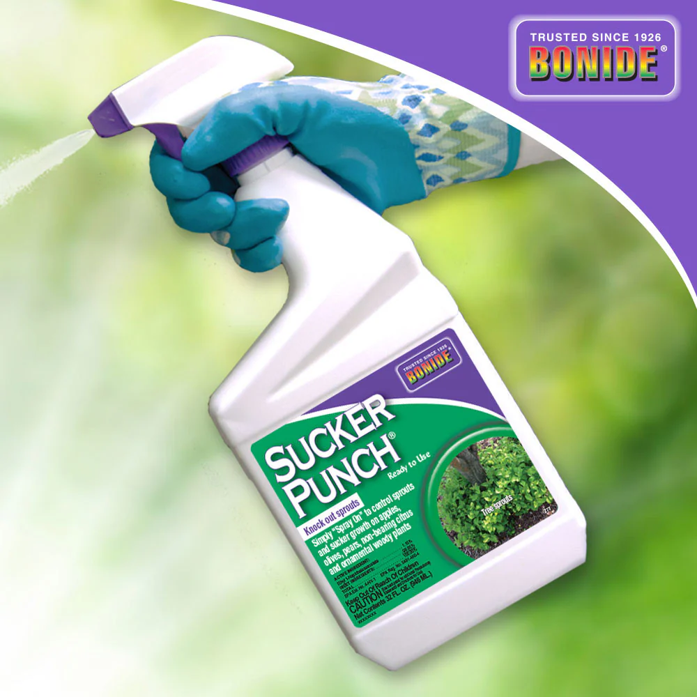 Sucker Punch® Ready-To-Use - 32 oz - Image 3