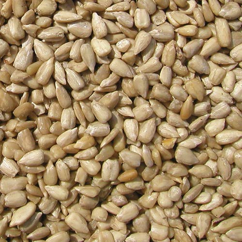 Coles Sunflower Meats Seed - 10 lbs - Image 2