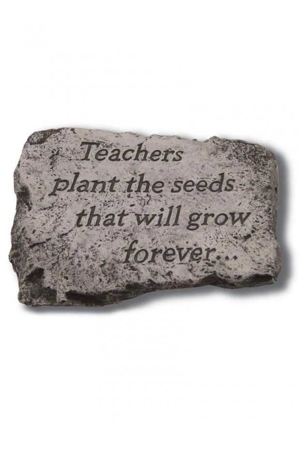 Stone Teachers Plant 10 inch