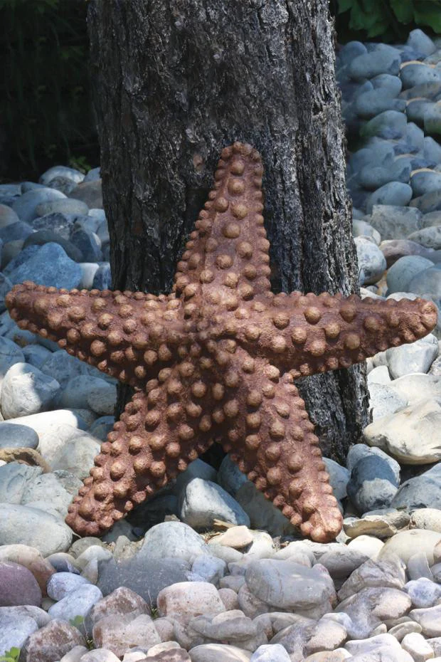The Star Of The Sea