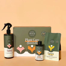 We the Wild Essential Plant Care Kit - Image 2