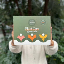 We the Wild Essential Plant Care Kit - Image 4