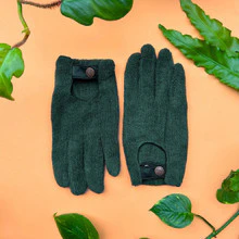 We the wild Houseplant Leaf Care Bundle - Image 4