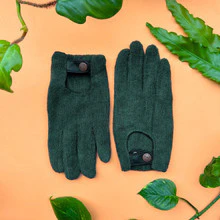 We The Wild Houseplant Leaf Cleaning Gloves