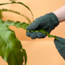 We The Wild Houseplant Leaf Cleaning Gloves - Image 2