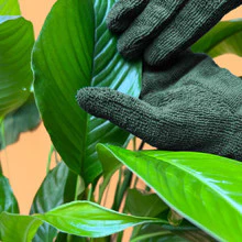 We The Wild Houseplant Leaf Cleaning Gloves - Image 3