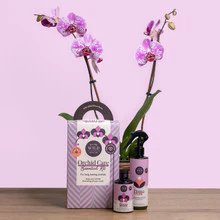 We the Wild Orchid Essential Kit - Image 2